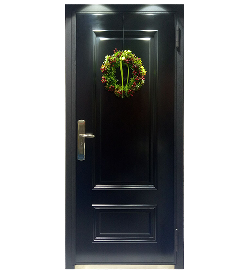 DM-06+High QualityArmored Door